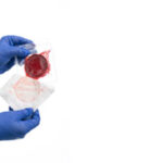 ActiGraft